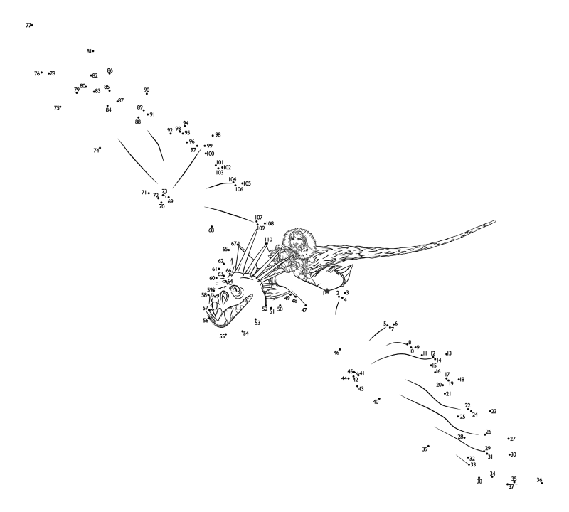 Раскраска - Как приручить дракона 2 - Астрид летит на Громгильде - по точкам