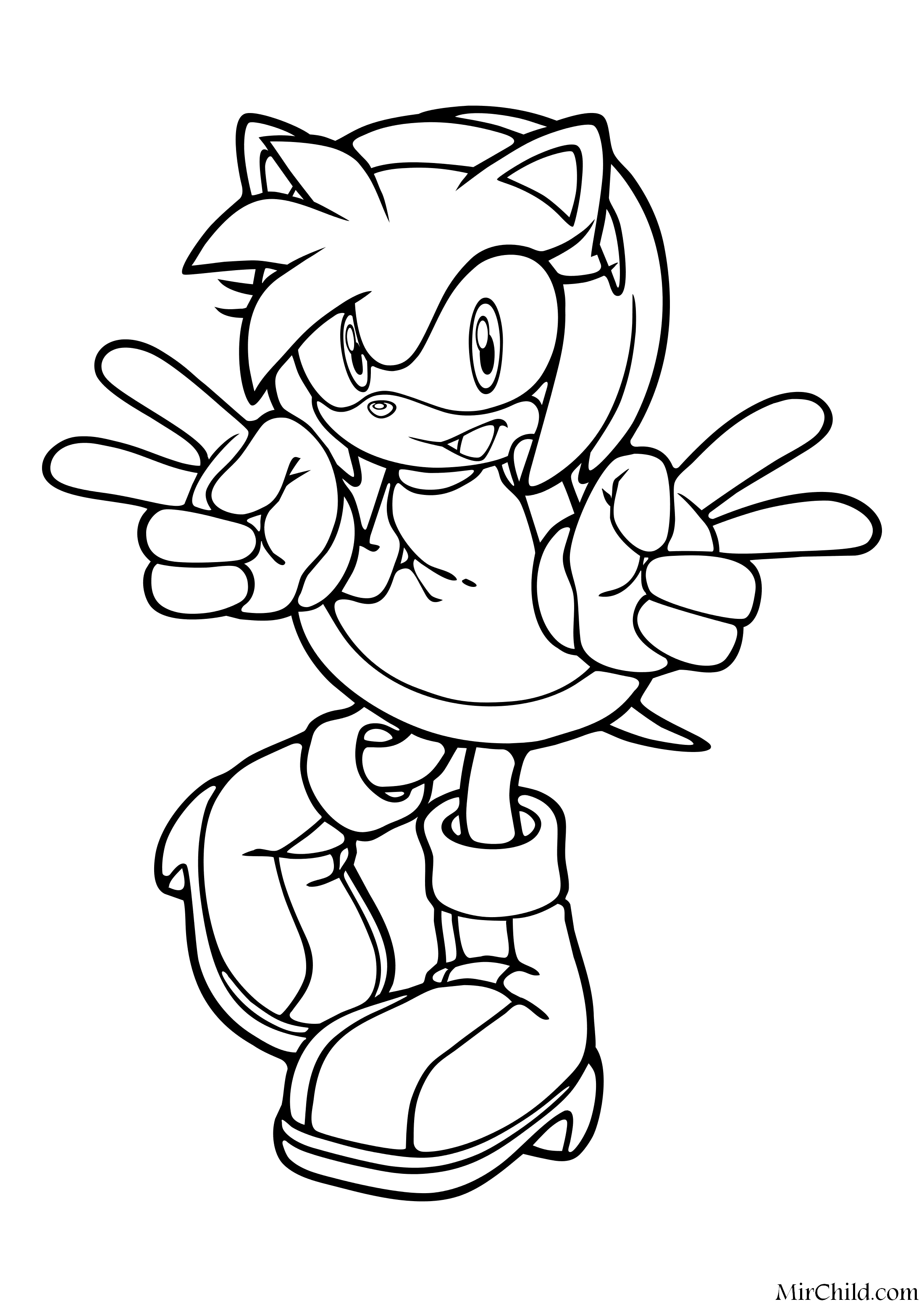 Раскраска - Sonic the Hedgehog - Эми Роуз влюблена в Соника.