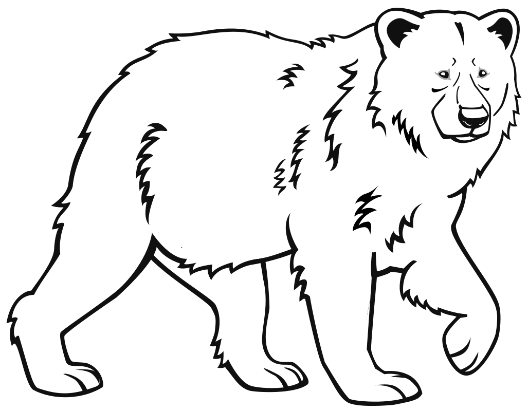 Раскраска - Дикое животное - Бурый медведь