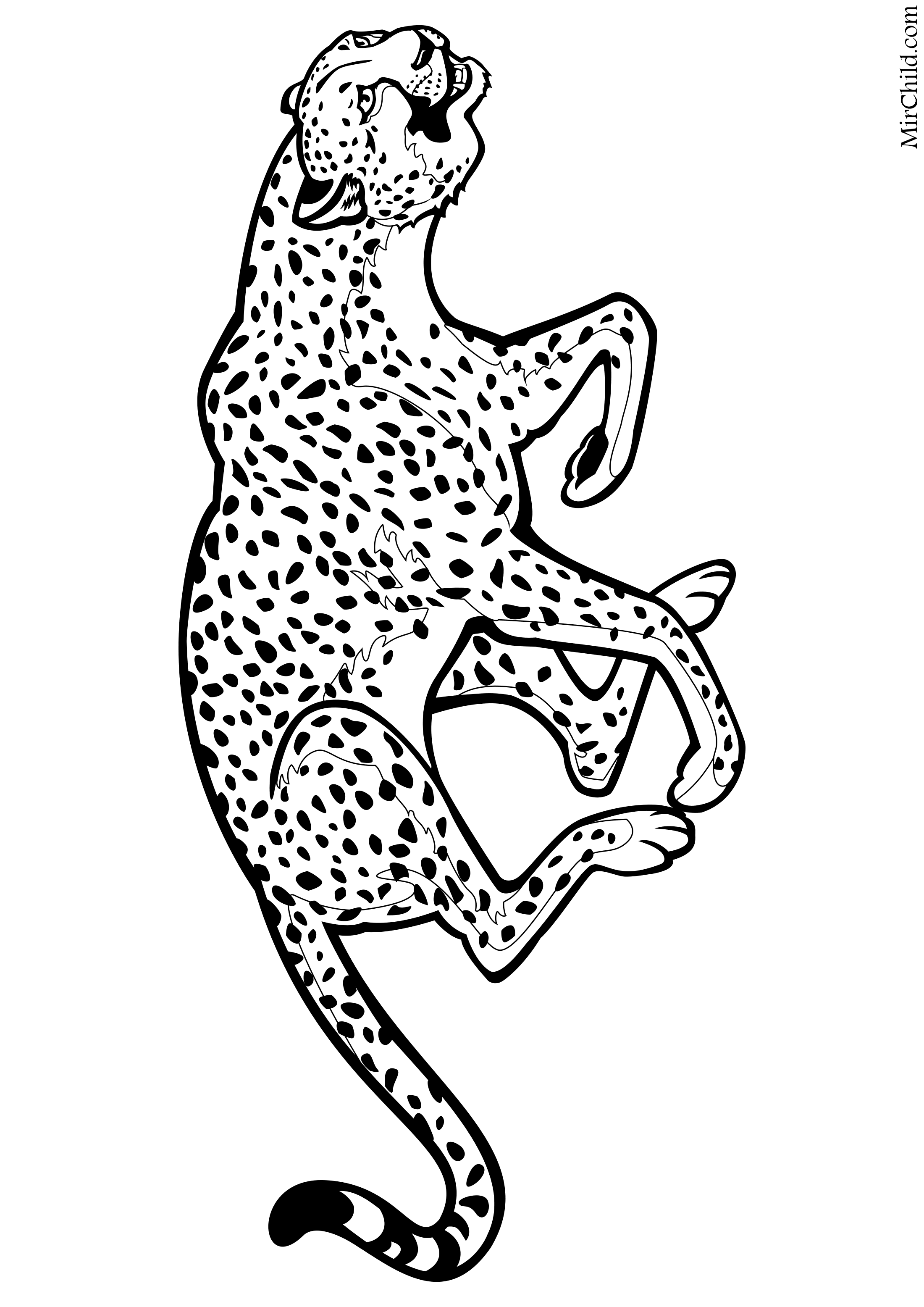 Раскраска антистресс гепард