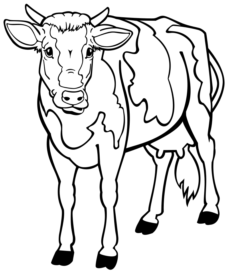 Раскраска - Домашнее животное - Корова