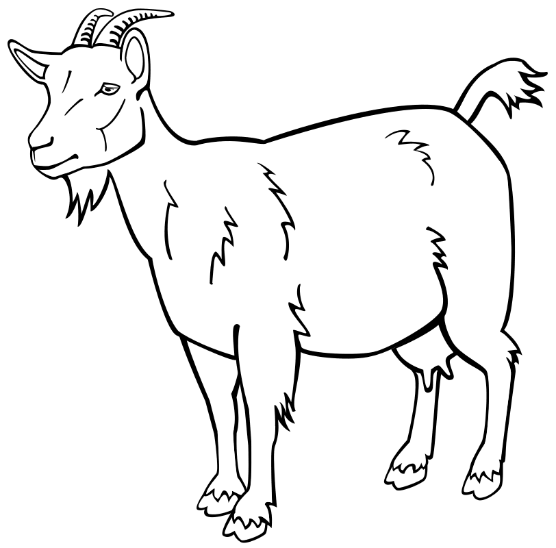 Раскраска - Домашнее животное - Домашняя коза