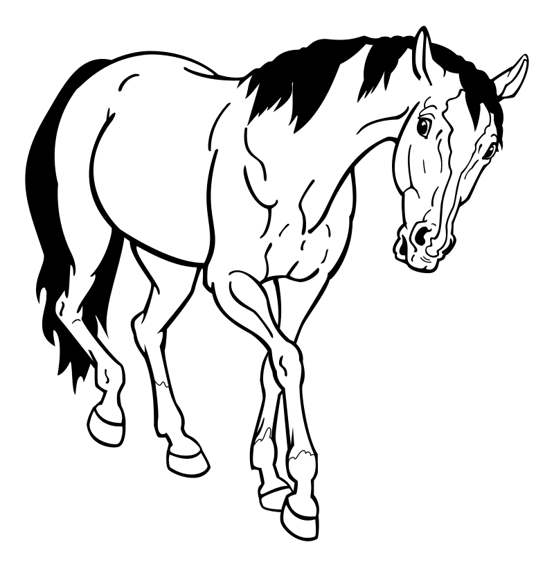 Раскраска - Домашние животные - Домашняя лошадь