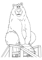 Раскраска - Волшебный парк Джун - Медведь Бумер