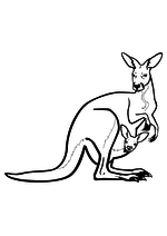 Раскраска Кенгуру с кенгурёнком в сумке