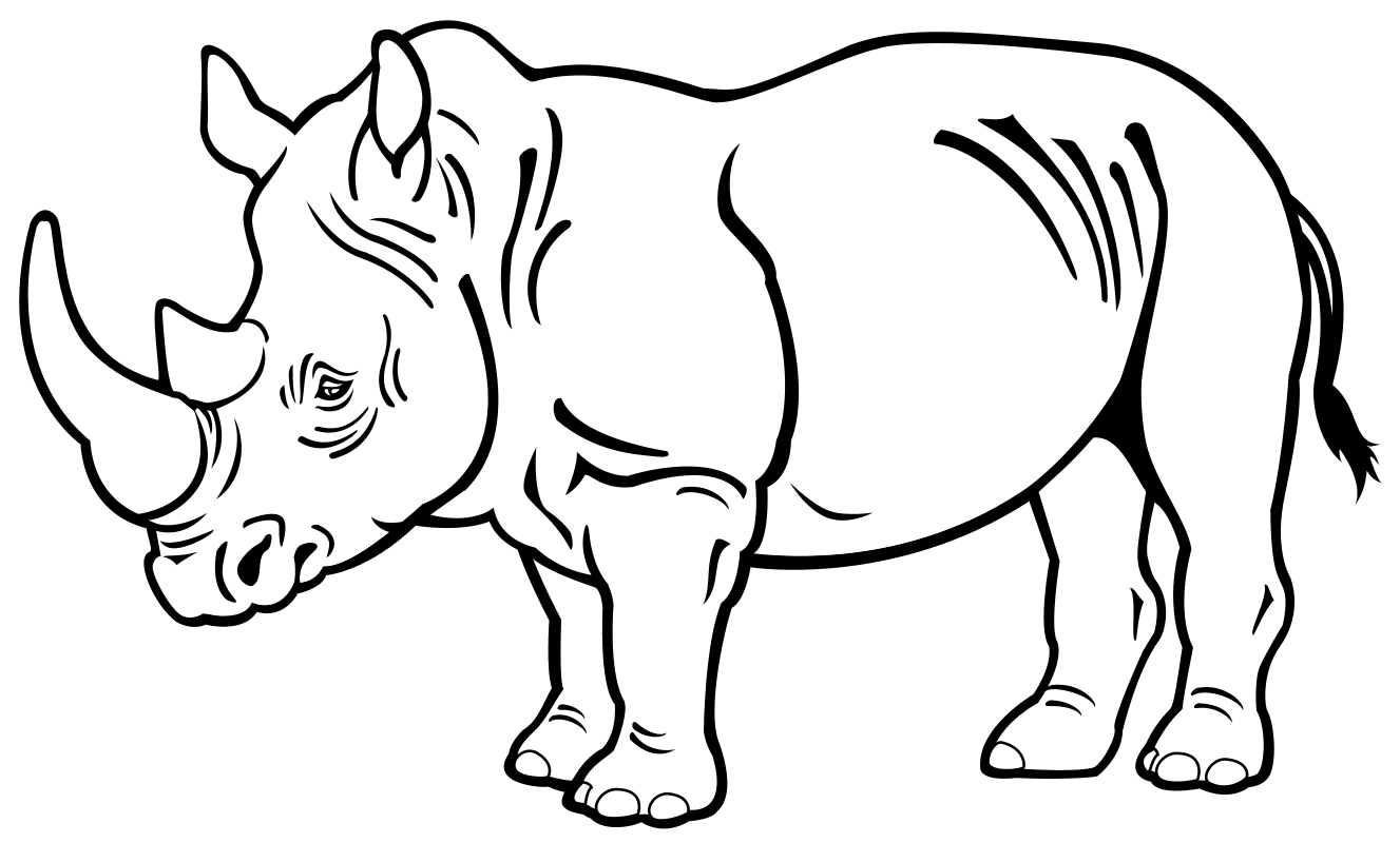 носорога 4