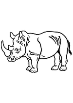 Раскраска Носорог