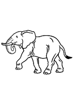 Раскраска - Дикие животные - Слон