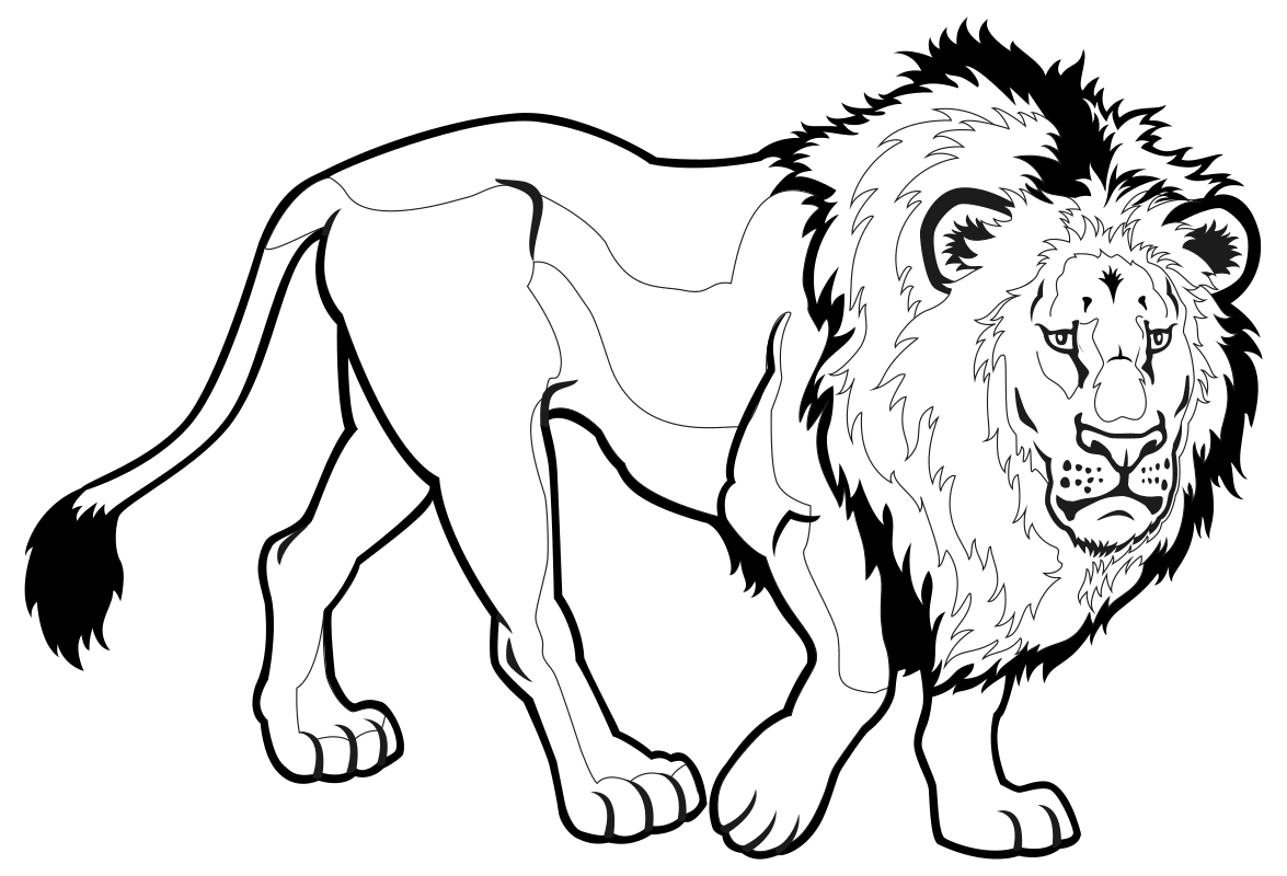 Раскраска - Дикие животные - Лев