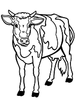 Раскраска - Домашнее животное - Корова