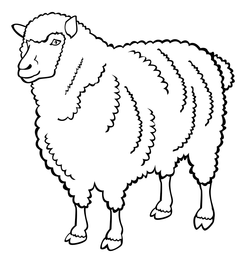 Раскраска - Домашние животные - Овца