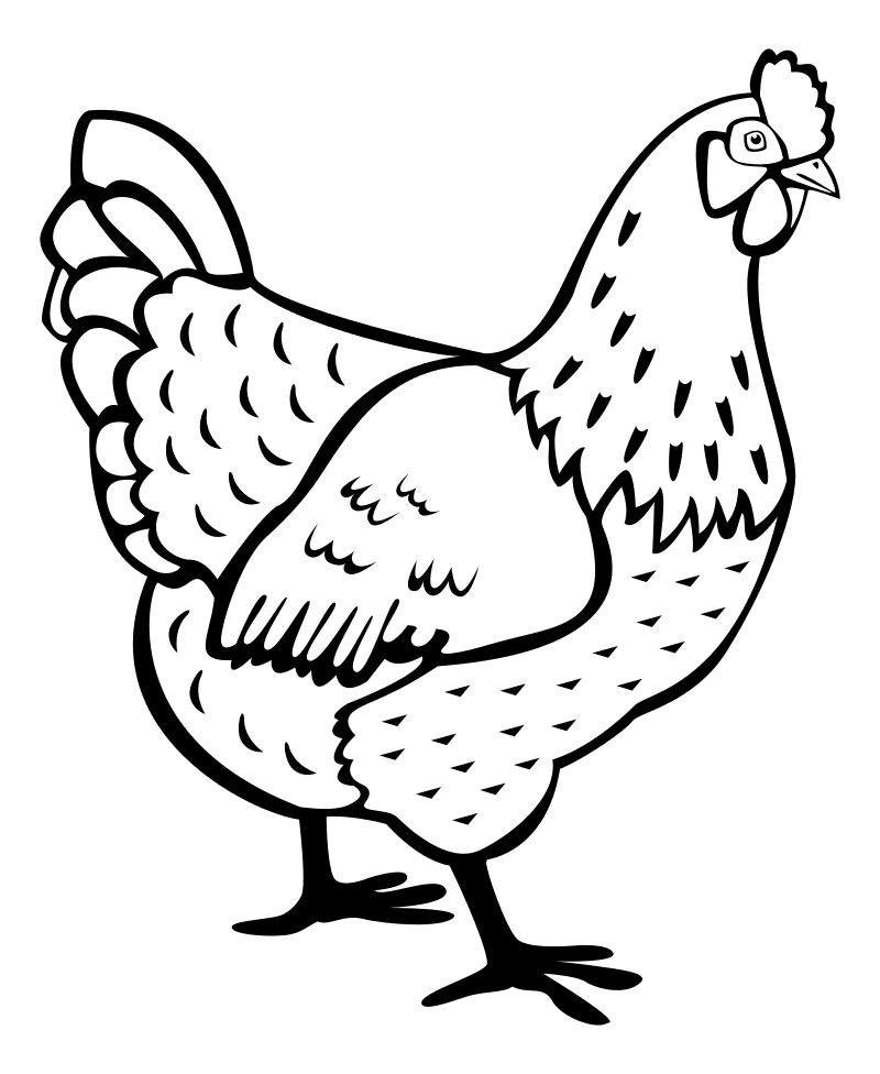 Раскраска - Домашние животные - Курица