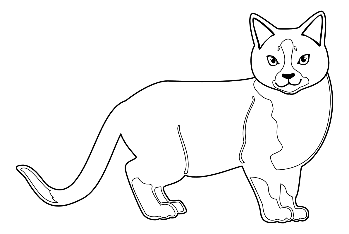 Раскраска - Домашние животные - Домашний кот