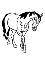 Раскраска - Домашние животные - Домашняя лошадь