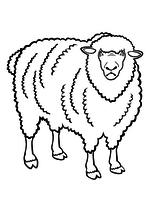 Раскраска - Домашние животные - Домашняя Овца