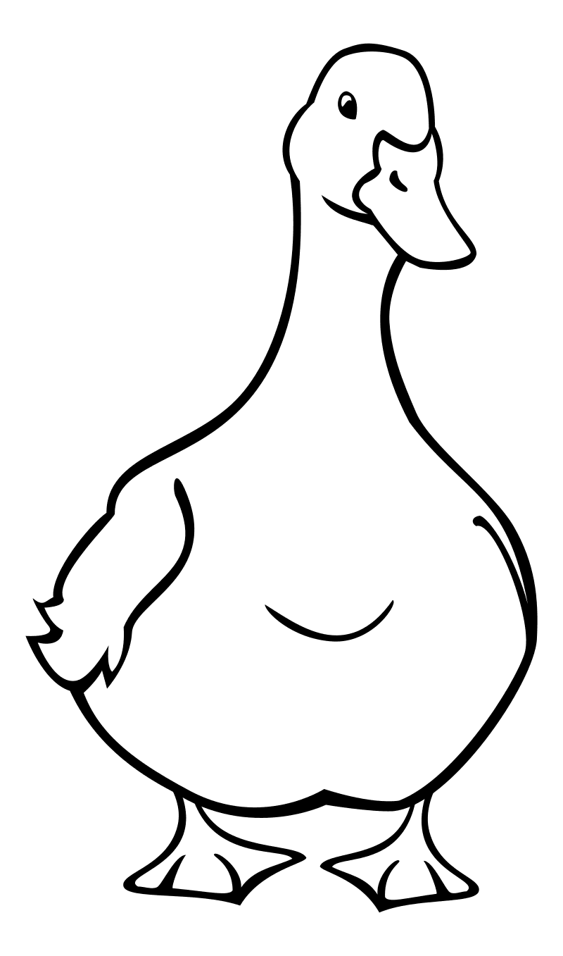 Раскраска - Домашние животные - Домашняя утка
