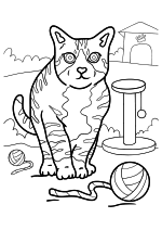 Раскраска - Коты - Кот играет с клубком