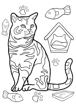 Раскраска - Коты - Полосатый кот