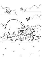 Раскраска - Собаки - Игривый щенок Бульдога